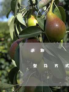逾期負債還款方法有哪些？詳解不同類型及方式